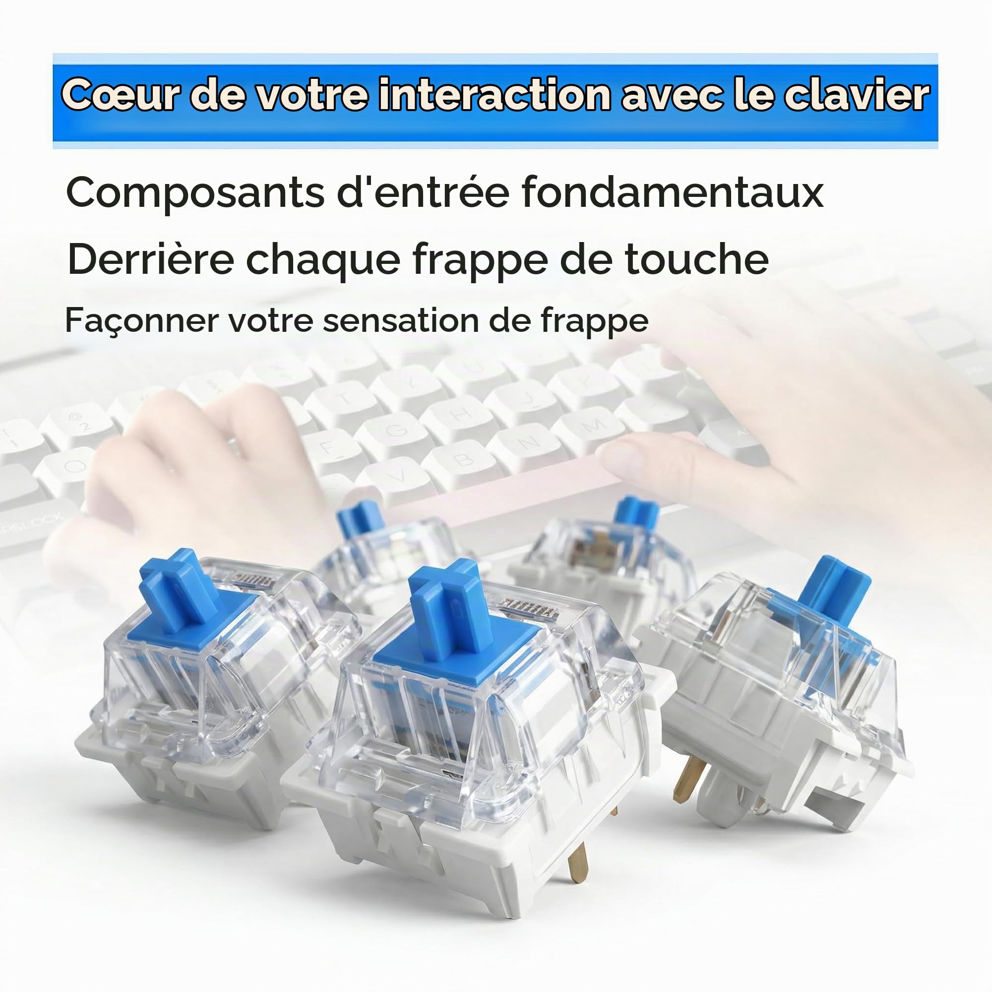20 Pièces Switch Clavier, Bleu Transparent Commutateurs avec 3 Broches Anti Poussière, Commutateur Clavier Mécanique RVB, Interrupteur de Remplacement pour MX Mechanical Clavier Gaming