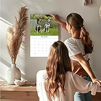 Vista 778 de Razas de Perros 2017