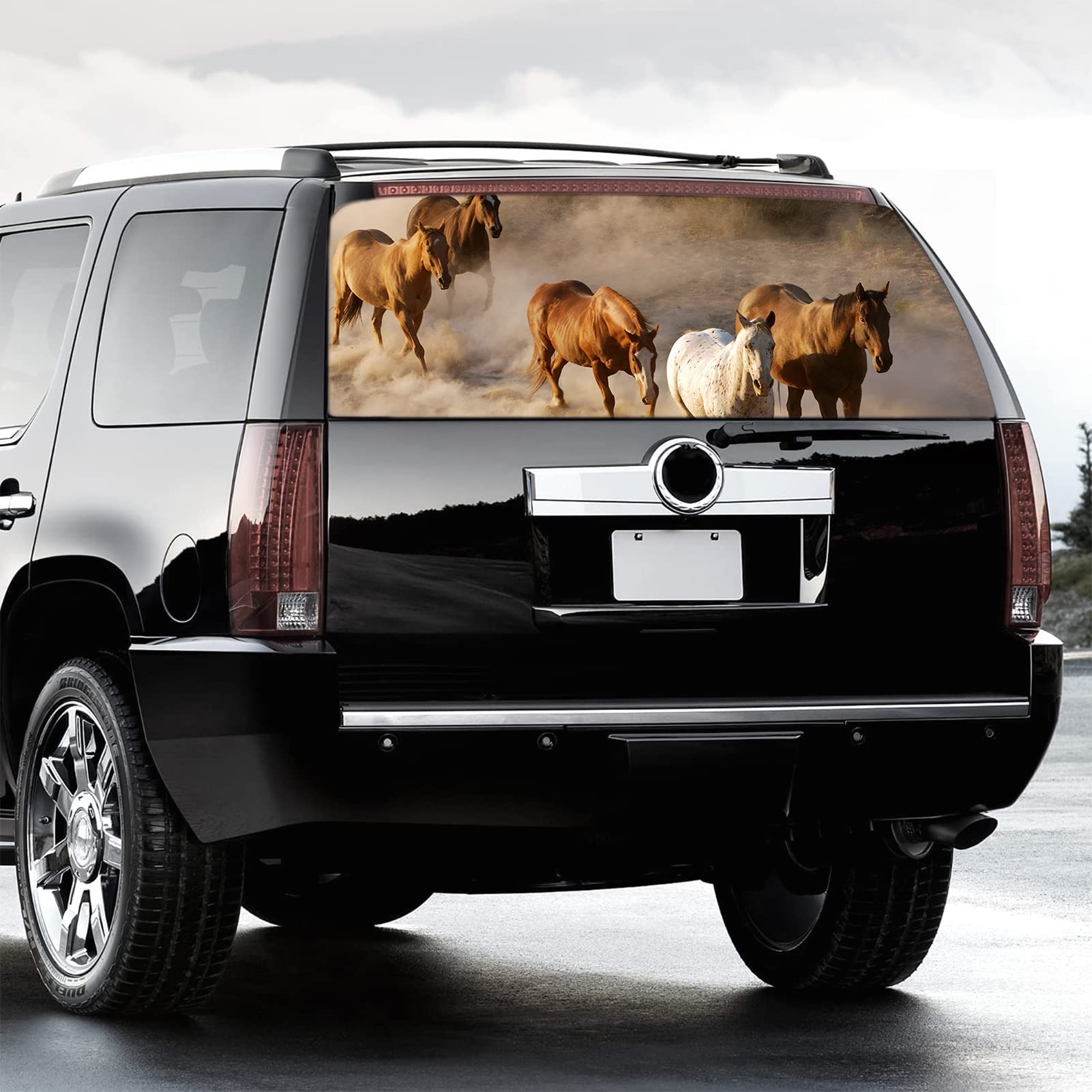 WOKEZ Finestra Posteriore a Cavallo di Destra Truck Decal Truck Finestra Posteriore Decal Wrap Graphic Perforato Vedi Attraverso Universal per camioncini SUV,58x18 inch