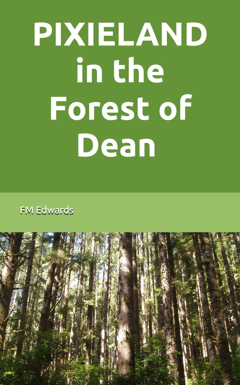 Pixieland: In the Forest of Dean