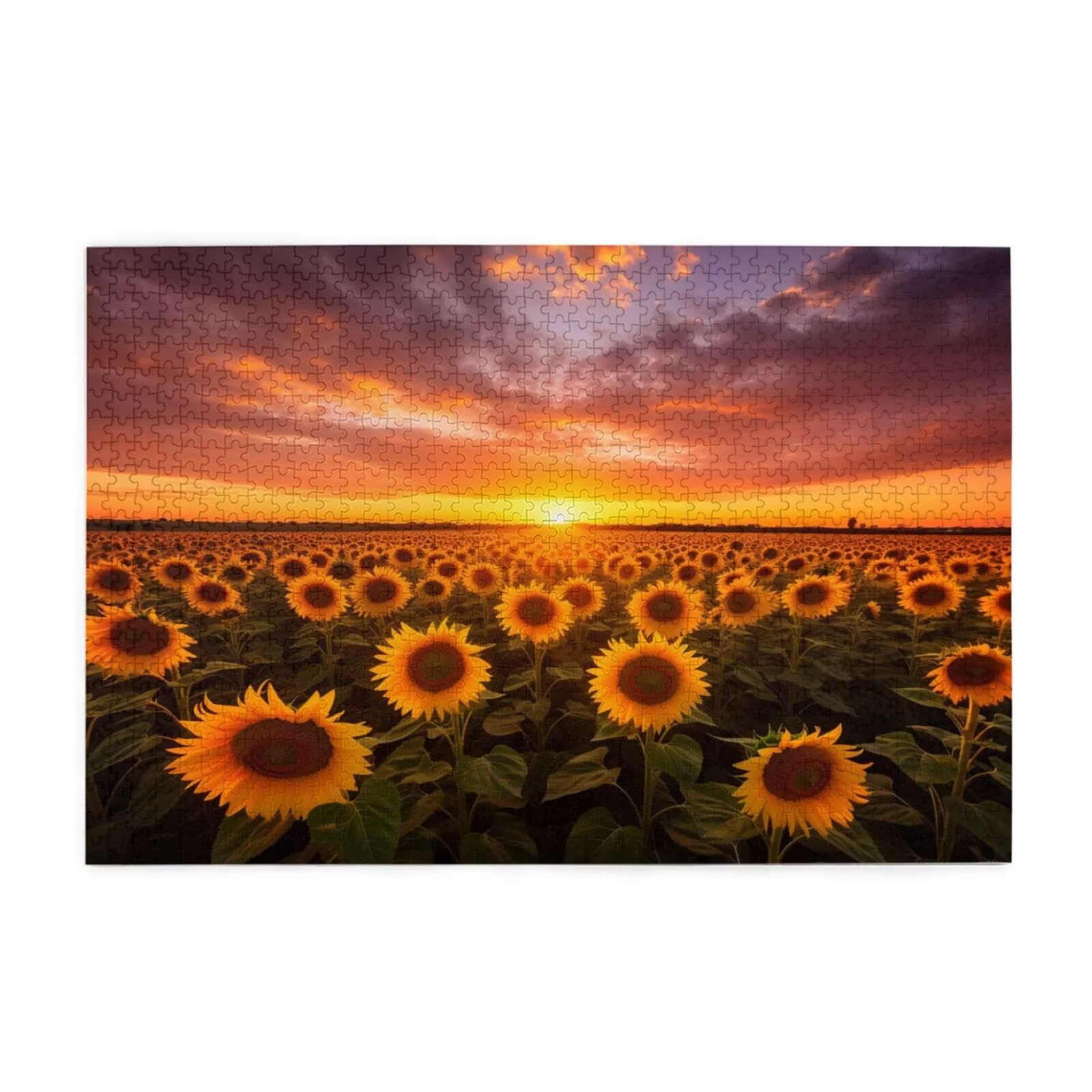 Puzzle 2000 Teile, Puzzle Erwachsene, Holzpuzzle Blumenmeer Impossible Jigsaw, Clevere Rätsel, Farbe Jigsaw mit Geschenkbox Verpackung for Room Decor, Geschenke für Frauen Sonnenblume 100x70cm p-1675