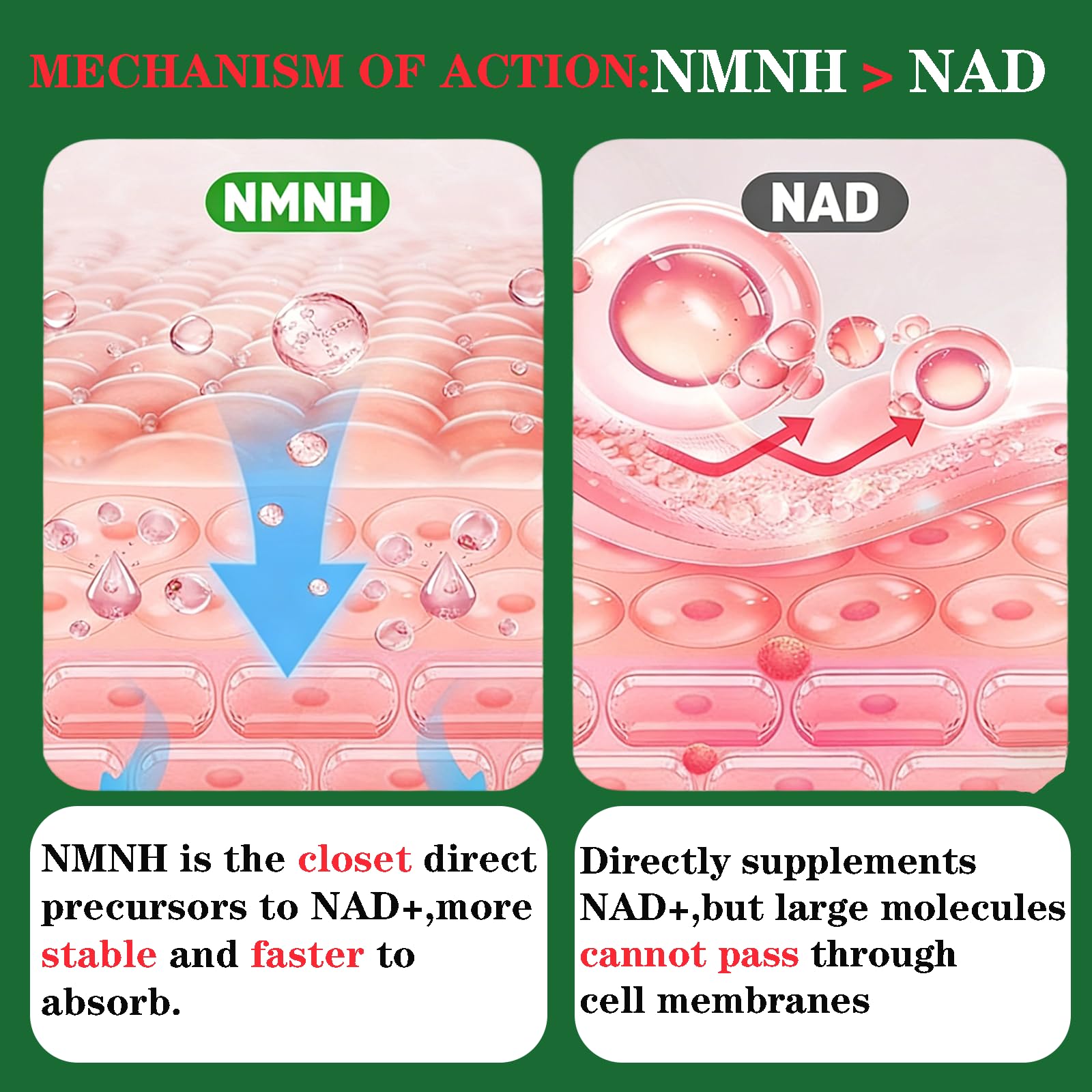 Liposomal NMNH Supplement 1850mg,NMN Alternative,Boost NAD with Resveratrol — Amazon image 2