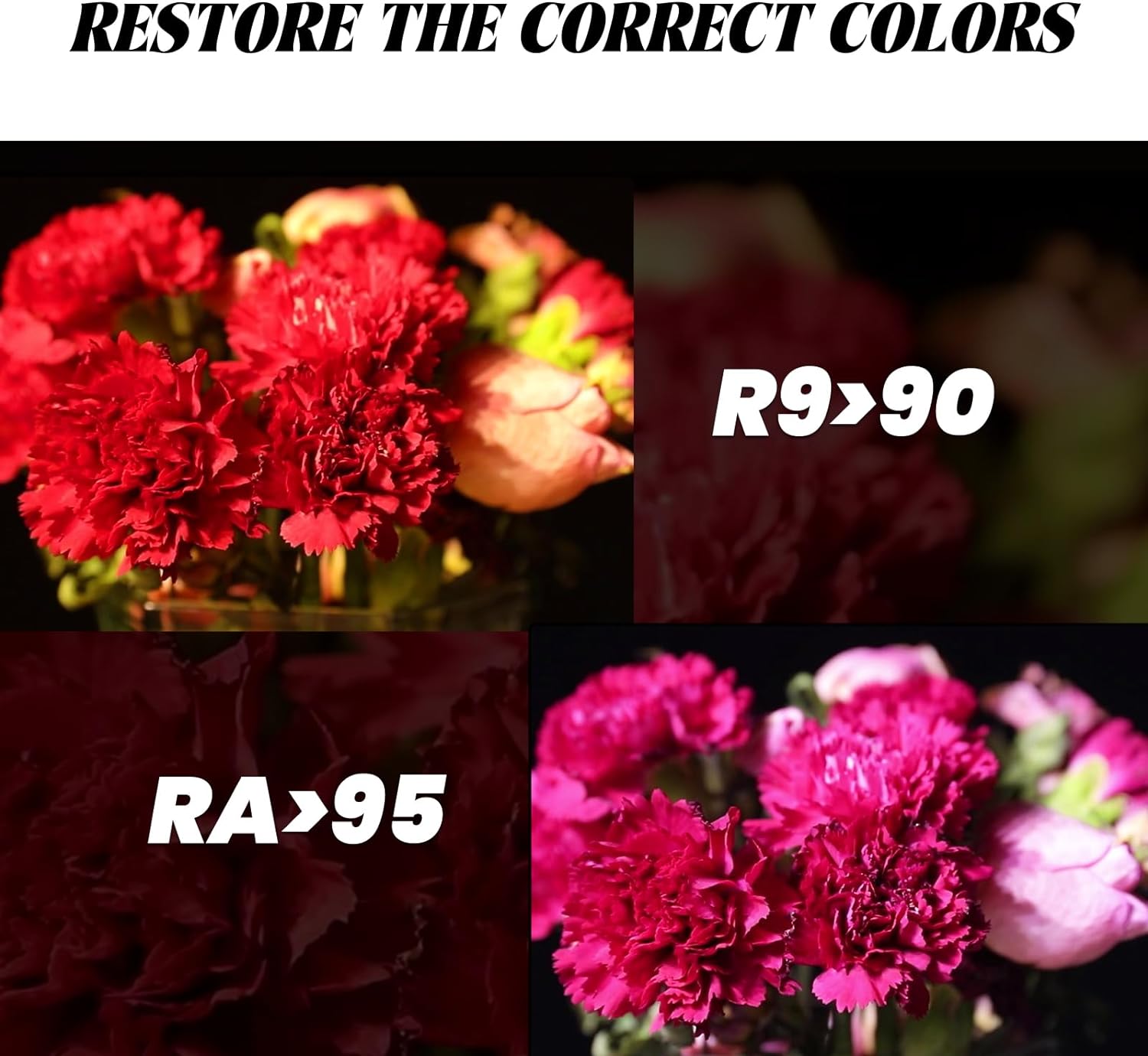 https://m.media-amazon.com/images/I/71wbWlwBPuL._AC_SL1500_.jpg