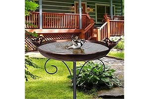 Outdoor Garden Bird Bath: 10 Inch Cast Iron Bird Bath for Yard Garden Decor