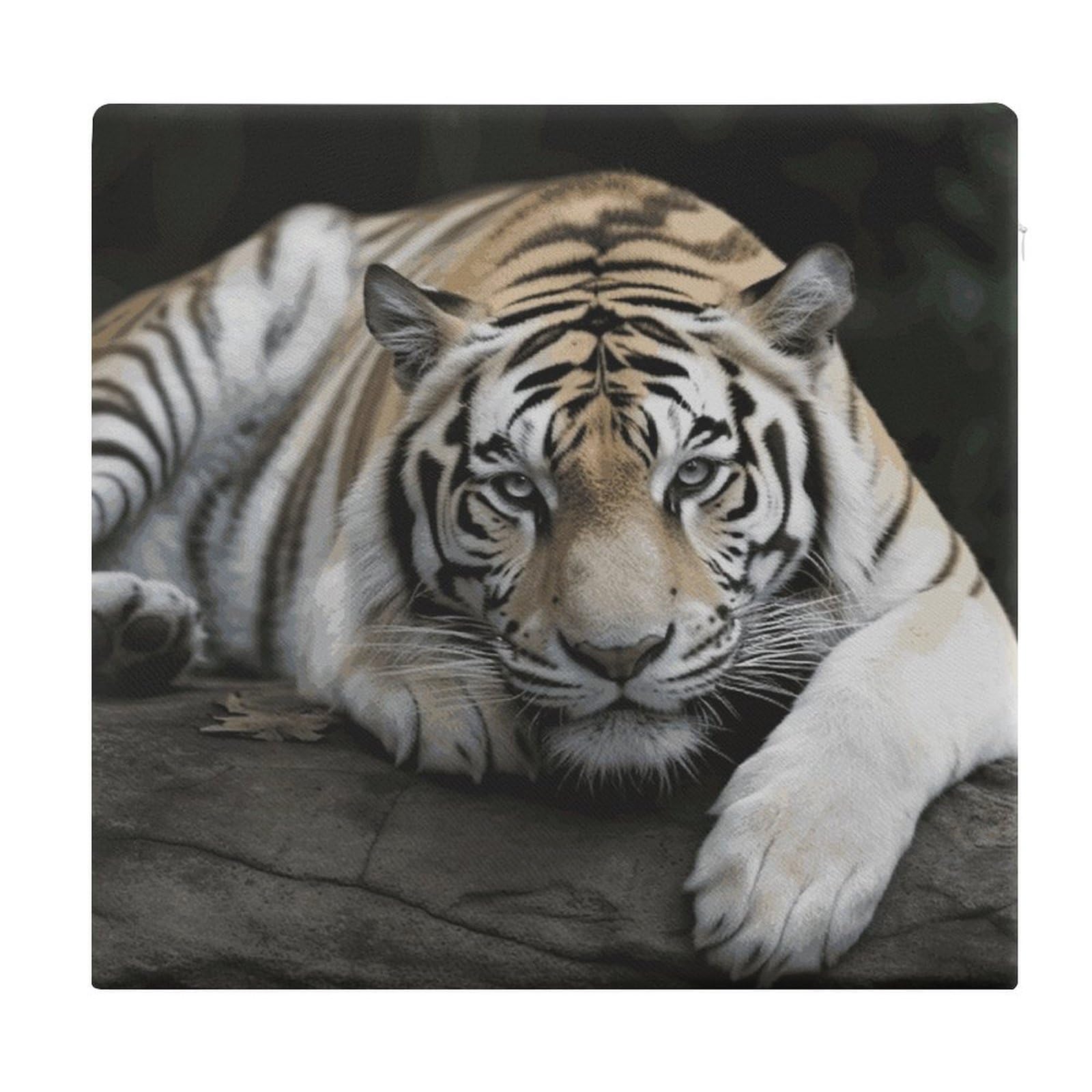 LDGSUPH - Tiger Seat Cushions for Office Chair Square Cushions Soft Floor Cushions Comfortable Sofa Cushions Memory Foam Chair Cushions for Home Travel Car