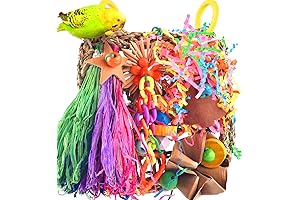 KATUMO Conure Toys: Birds' Paradise of Entertainment