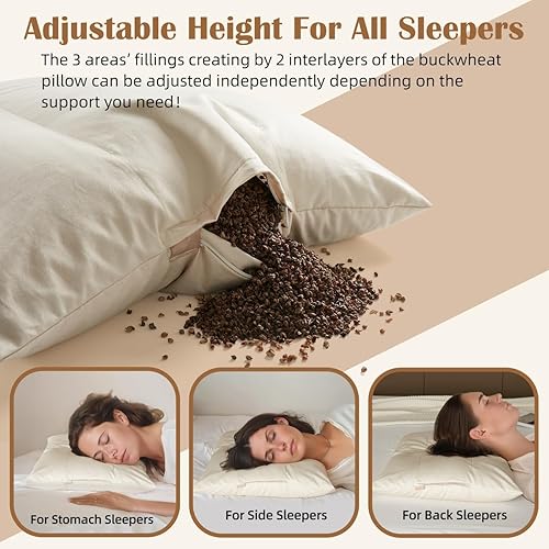 Miniatura 5 de LOFE Almohada de trigo sarraceno con funda de almohada de algodón orgánico, almohada de trigo sarraceno orgánico de 20 x 26 pulgadas con caja