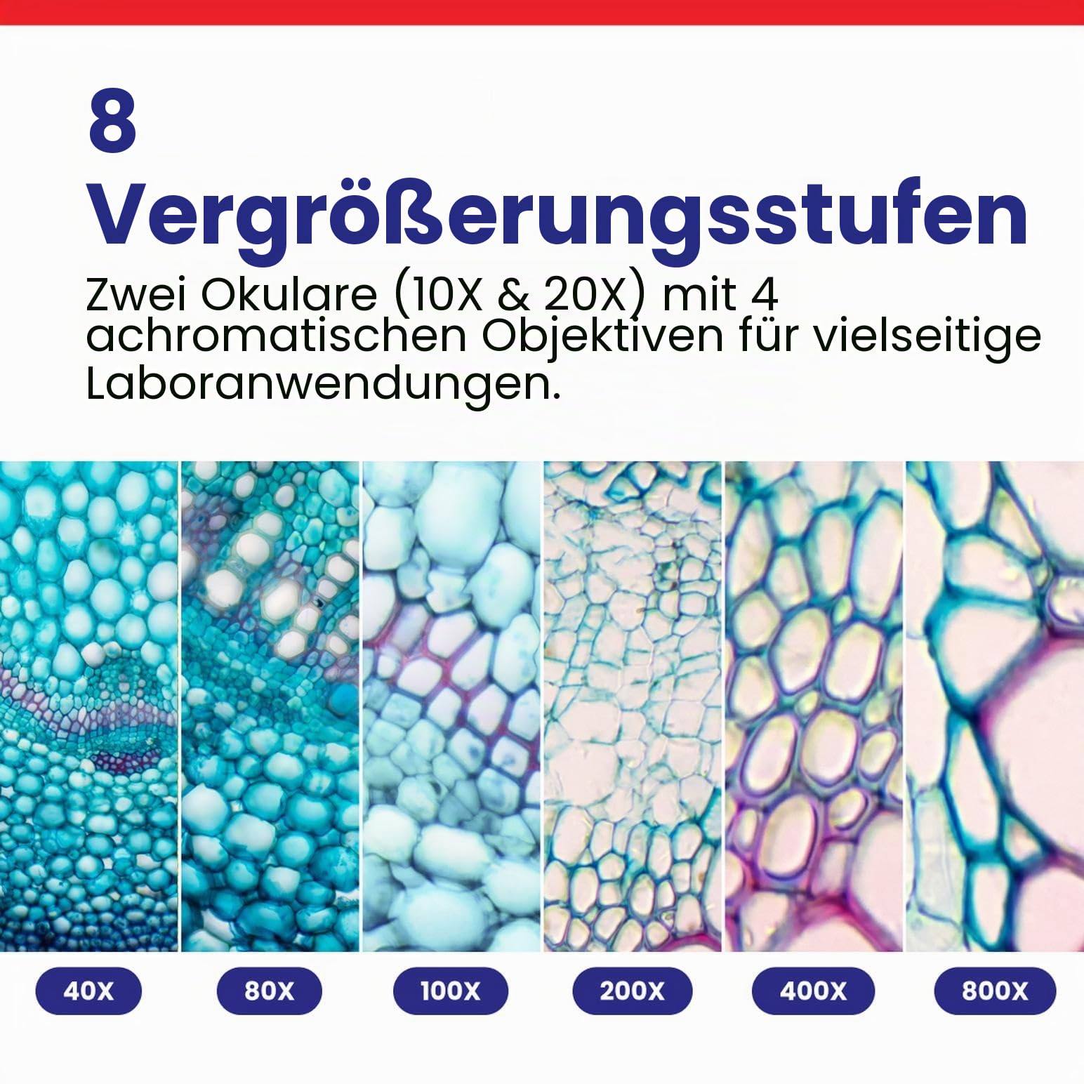 OMAX Mikroskop Fernglas 40X-2000X LED mit mechanischer Szene Doppelschicht + Blanko Dias, Abdeckungen und Linsenreinigungspapier, M82ES-SC100-LP100