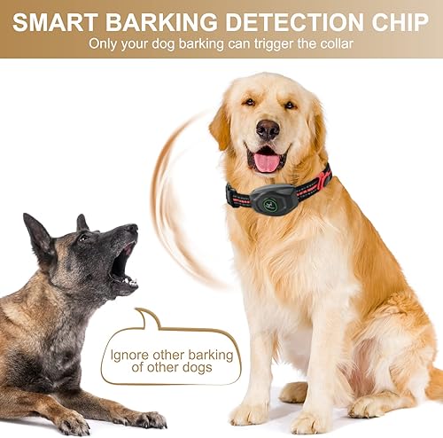 Miniatura 4 de Collar de entrenamiento para perros 2 en 1 automático con alcance remoto de 1300 pies, 3 modos de entrenamiento, pitido, vibración, golpes, collar
