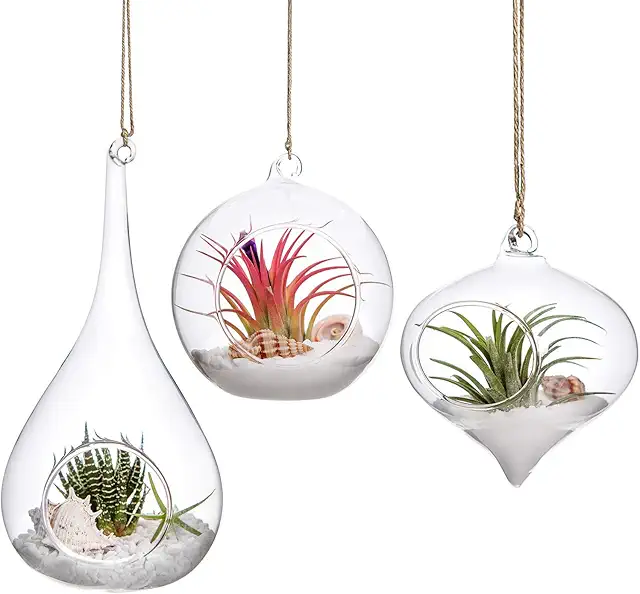 Mkouo 3-Pack Glass Hanging Terrarium Set - Olive, Globe & Teardrop Shapes