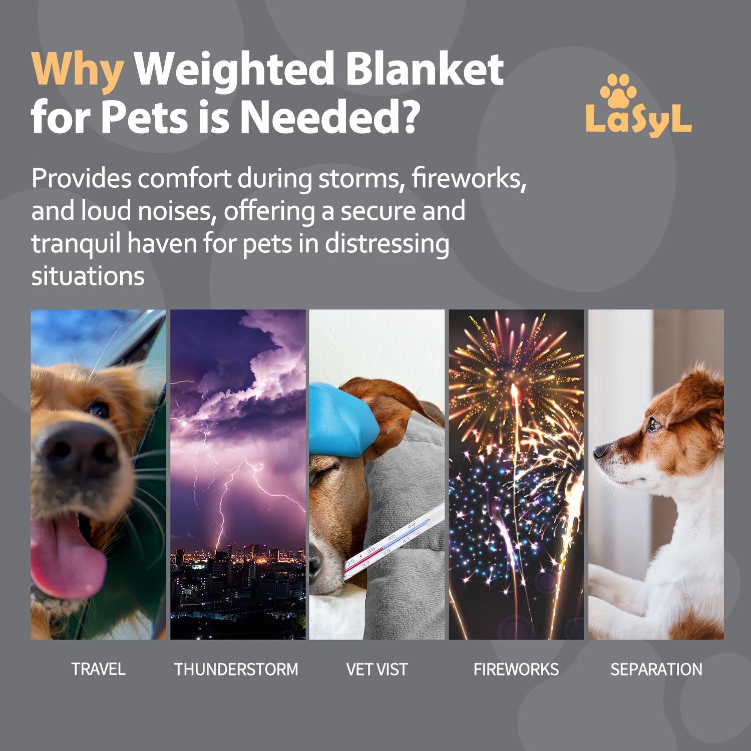 LaSyL Manta con Peso para Mascotas, Manta de Trueno para la ansiedad de los Perros | Minky Suave Relajación y calmante y antiansiedad | Se Utiliza en Coche, Cama, sofá | Gris Oscuro,