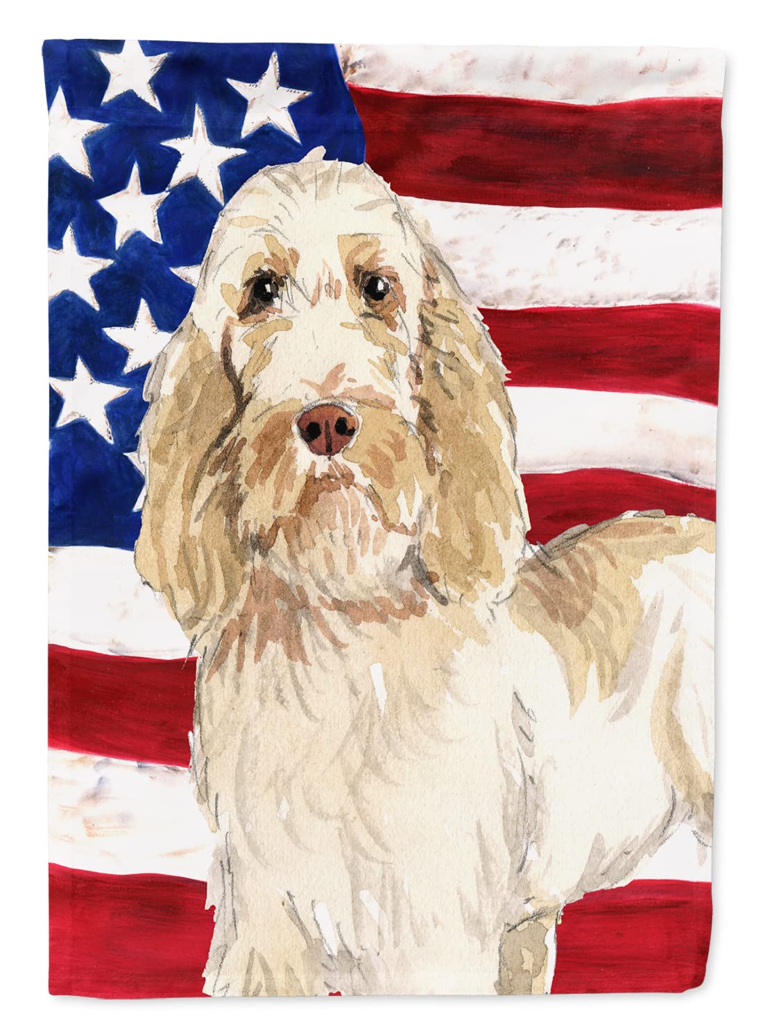 Drapeau Spinone Italiano en toile de canevas haut de gamme