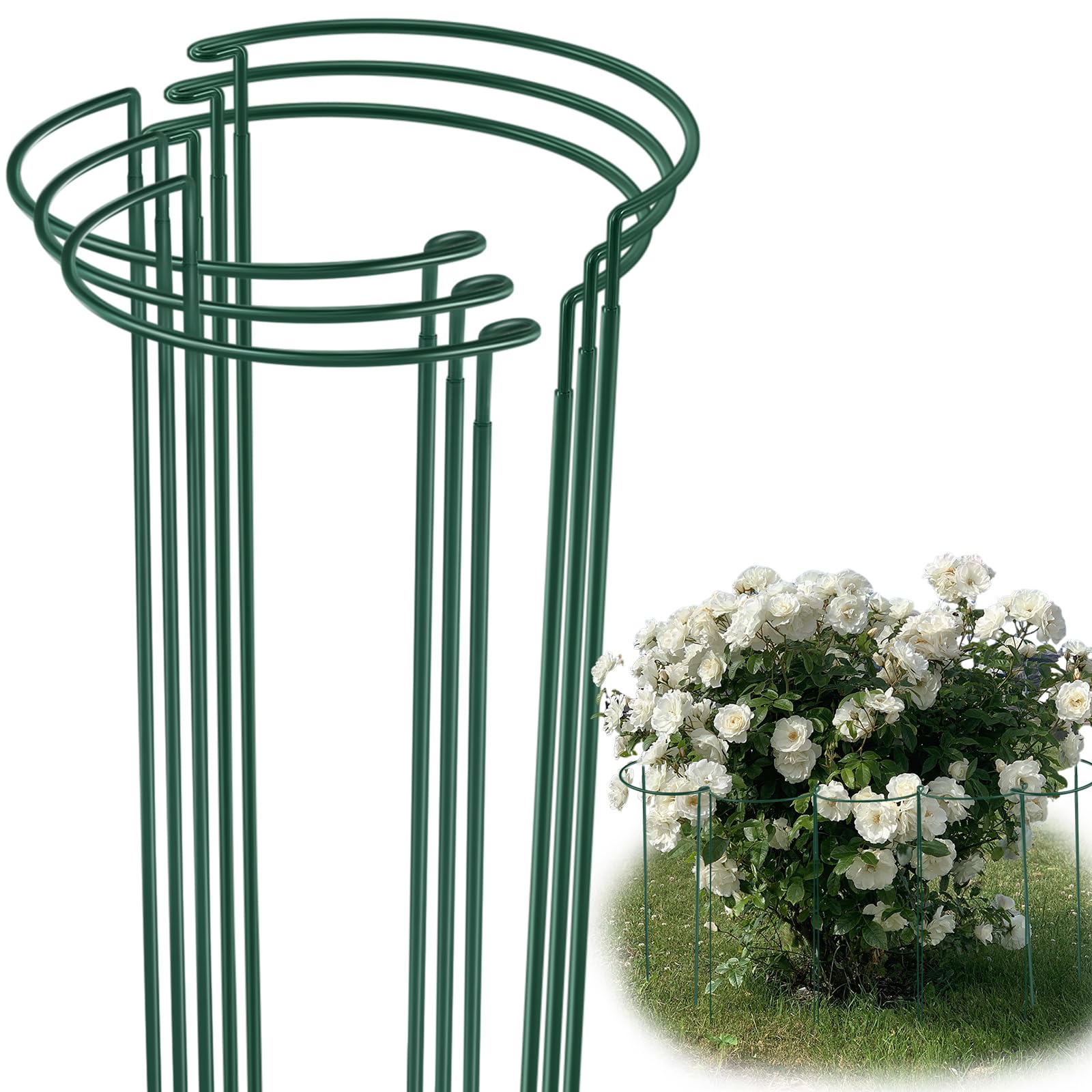 Tioncy Lot de 6 piquets semi-ronds en métal pour plantes d'intérieur et d'extérieur - Pivoine, tomate, amaryllis et hortensia - 50 cm de large x 152,4 cm de haut