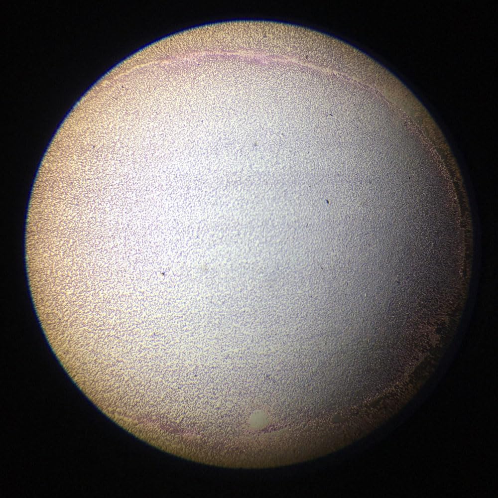 1 Piece Plasmodium Vivax Smear Parasitology Microscope Prepared Slides Manufacturer