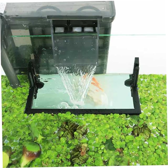 Foto 3 de 8 de Licsaliwe Barrera de Plantas flotantes y Anillo de alimentación