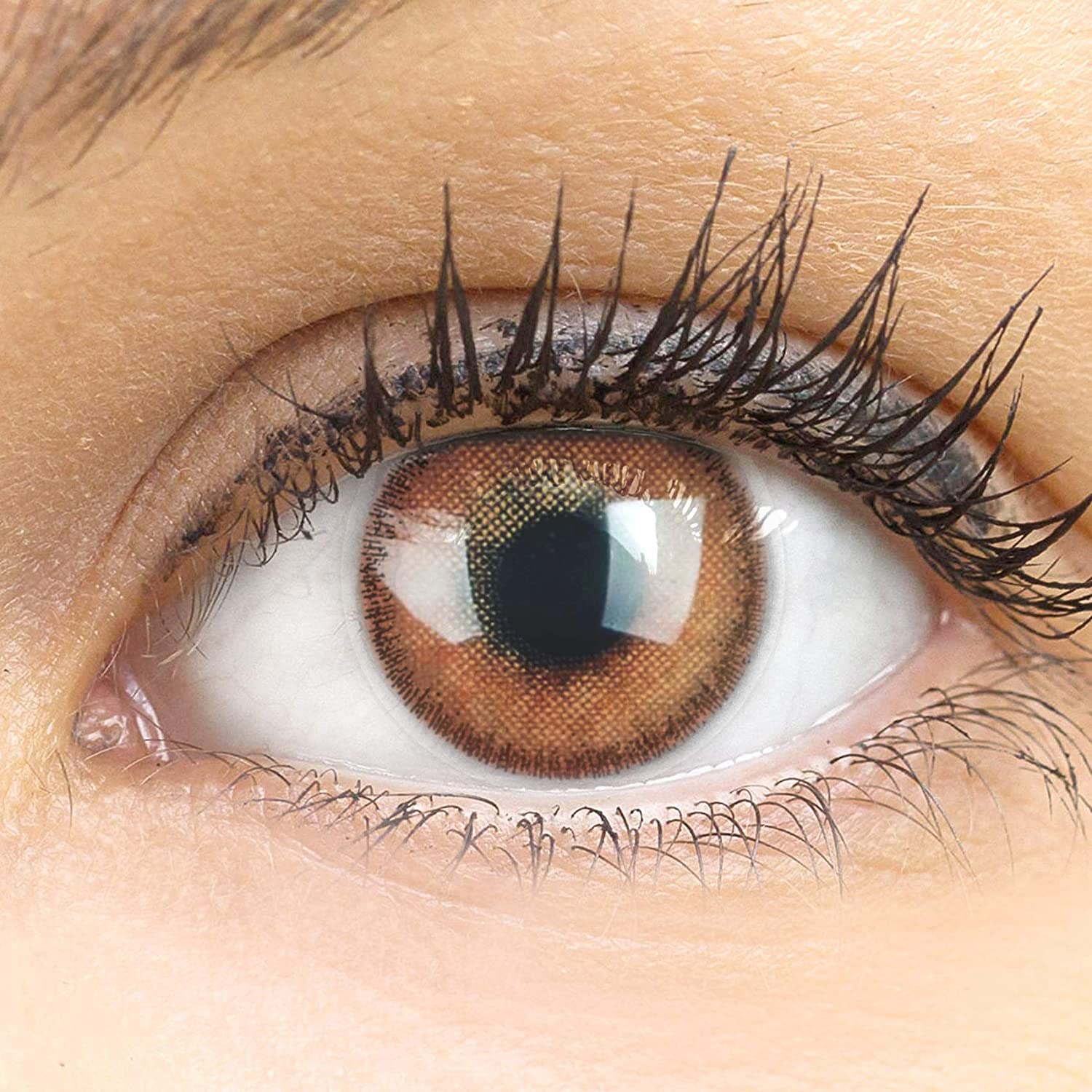 GLAMLENS Lenti a contatto colorate marrone scuro Mirel Choco Hazel - mensili - con porta lenti a contatto - marroni naturale in silicone idrogel - 2 pezzi - DIA 14.0 - senza correzione 0.00 diottrie