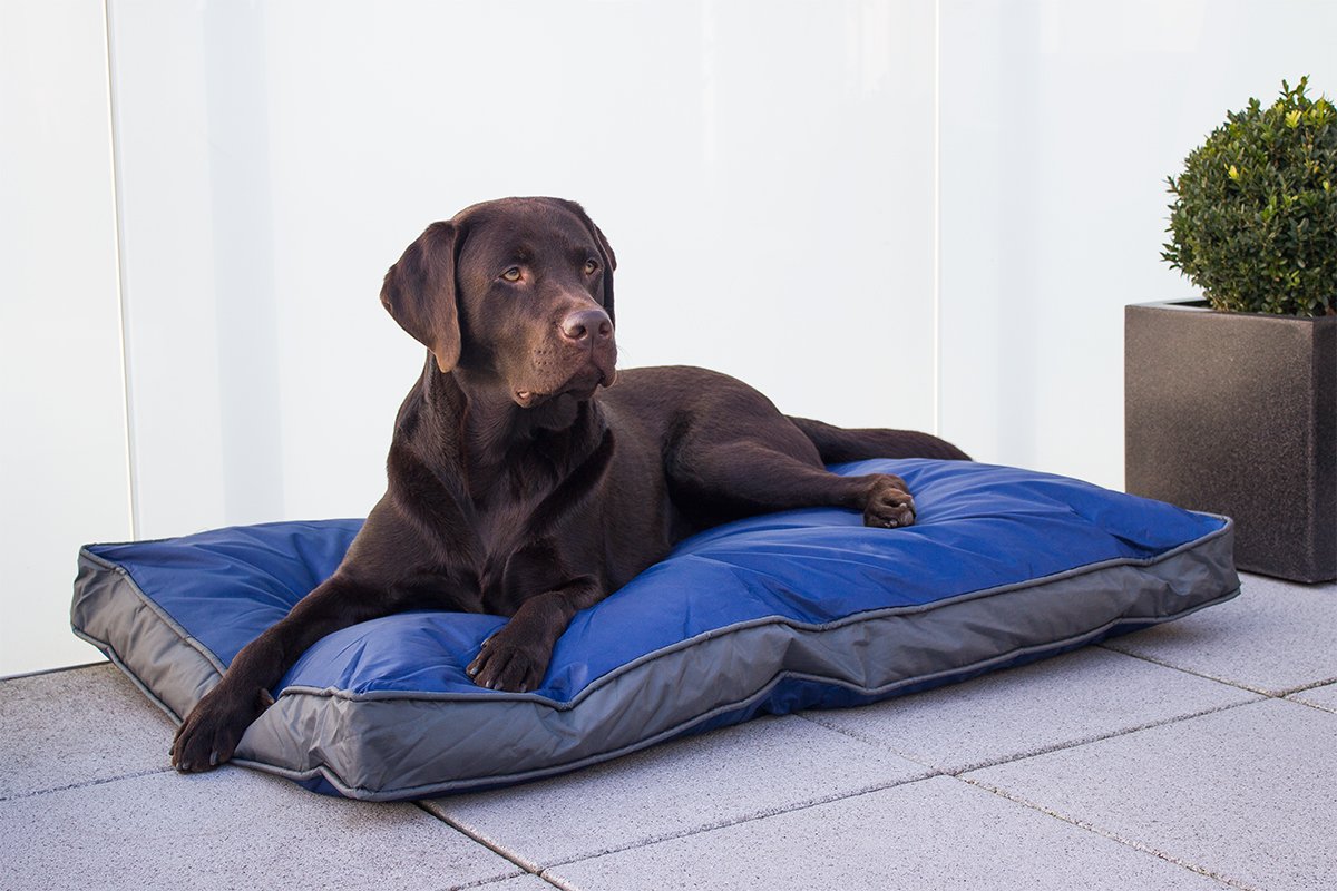 Maximum Pet Products Hundebett Größe S – Robust, Wasserdicht, Marineblau | Für Aktive Hunde