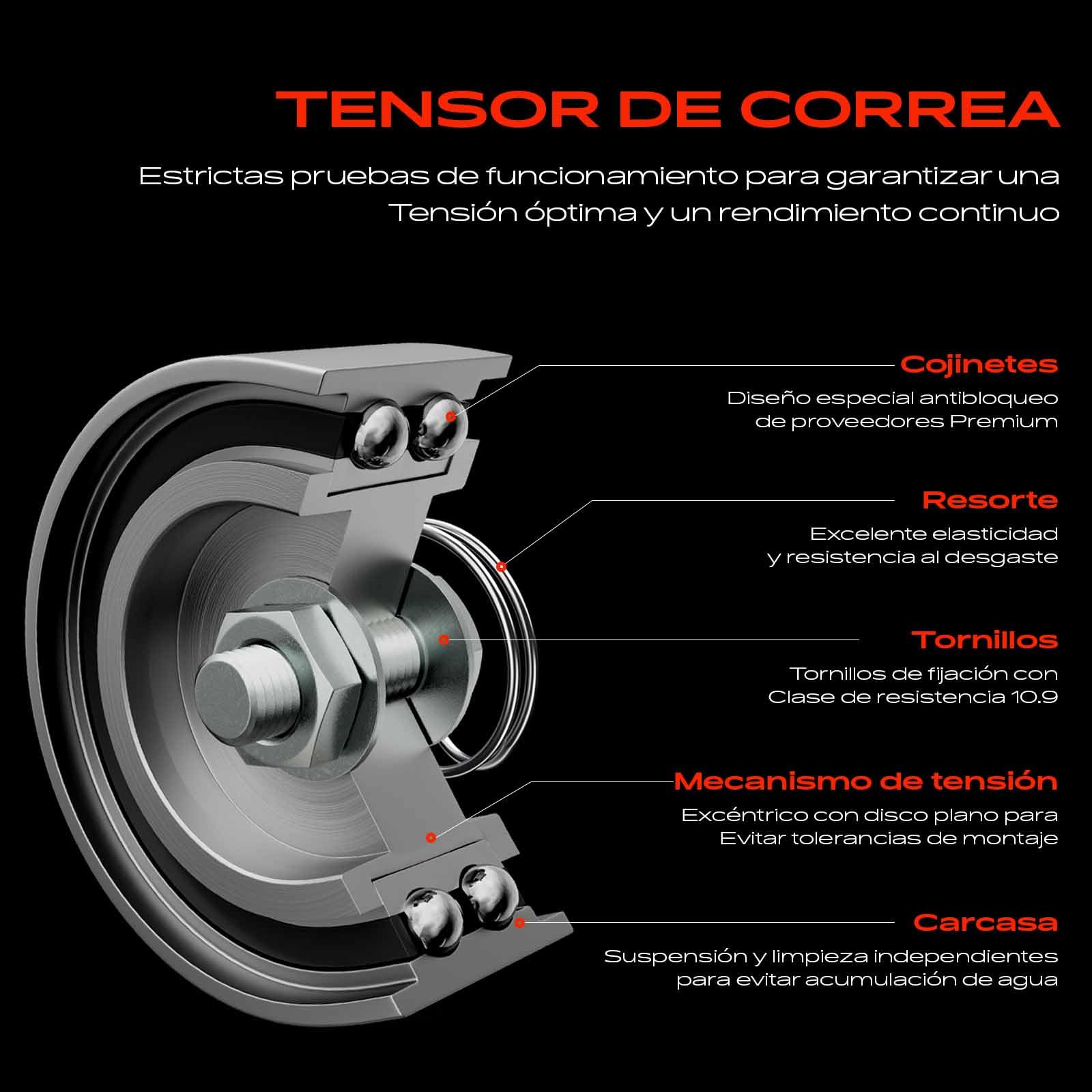 Frankberg Kit de correa de distribución con bomba de agua diésel | Compatible con: A1 Sportback 8XA 8XF, Polo 6C1 6R1, Ibiza IV Sportcoupé 6J1 6P5, Ibiza IV ST 6J8 6P8, Fabia III NJ3