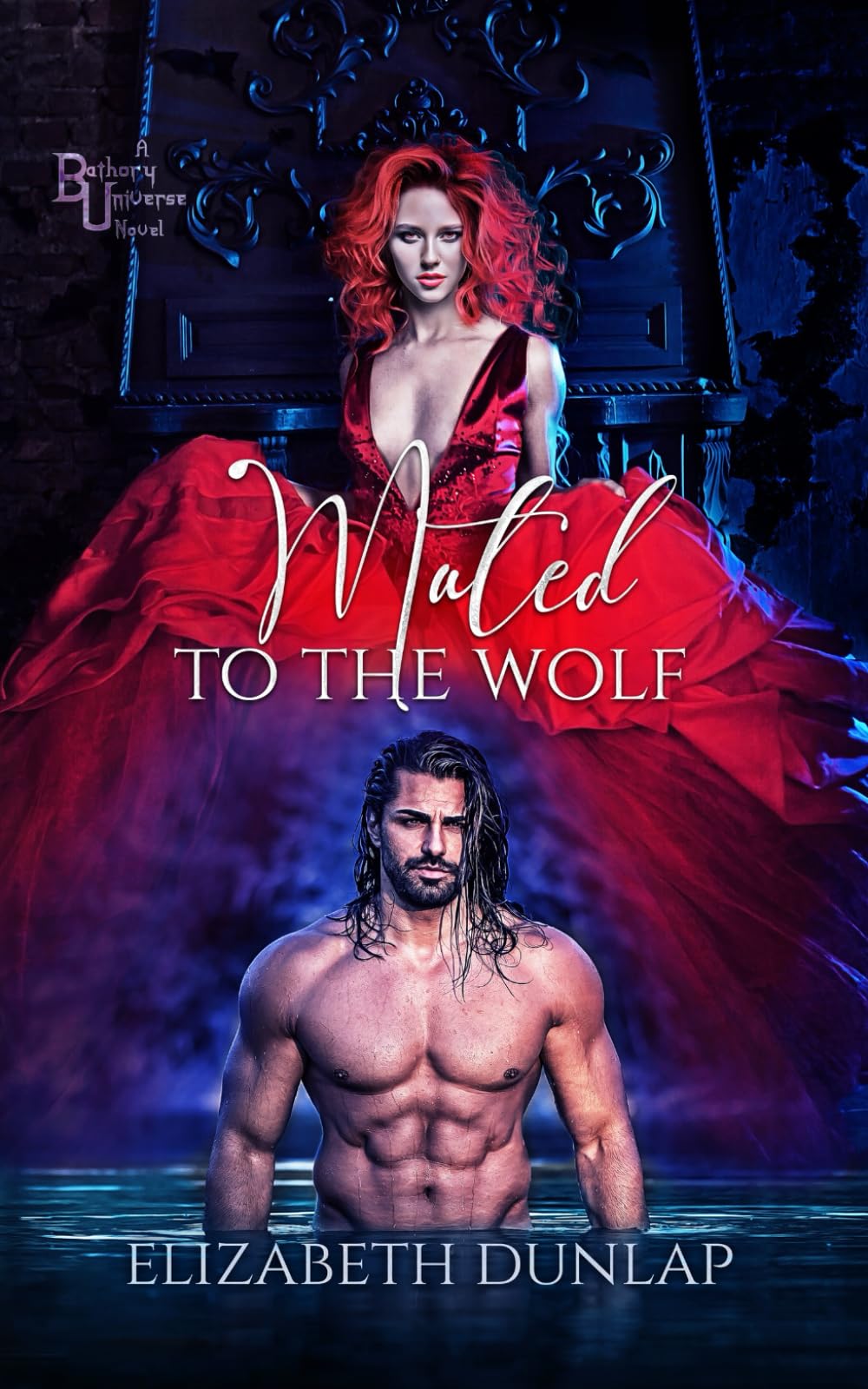 Mated to the Wolf: A M/F dark vampire romance (Wolf Pack)