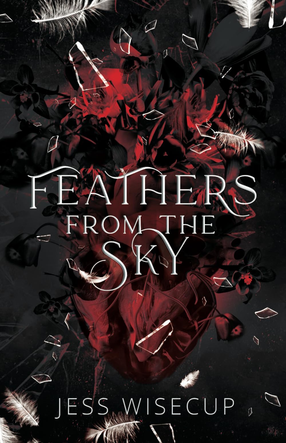 Feathers From The Sky: A Dark Paranormal Romance (The Hunting Vengeance Duet)