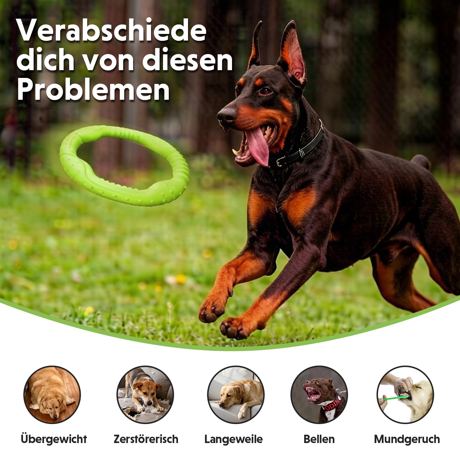 LaRoo Jouet pour Chien Dog Disc, Disque de Lancer Durable pour Chiens forts pour Petits, Moyens et Grands Chiens, Sport, Exercice, Activité et Jeux de Plein air (Vert, Grand-30CM)