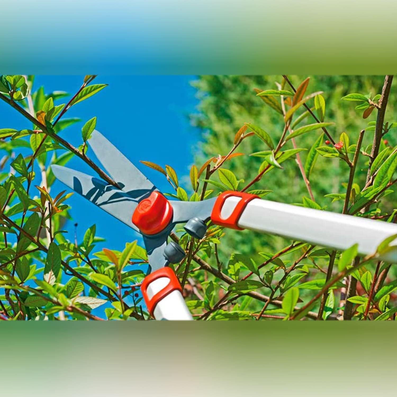 Wolf-Garten HS1000T Telescopic Hedge Shears, Red, 81.5x8.88x2.38 cm