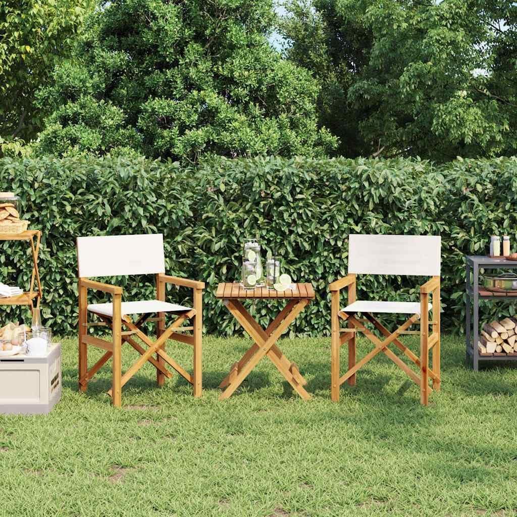 Chaise pliante de directeur pour terrasse et jardin en bois de teck