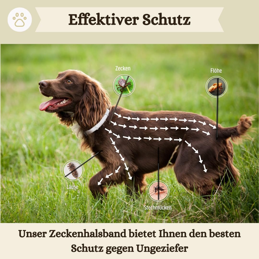 2er-Pack Zeckenhalsband für Hunde - 100% Ätherisches Öl - Wasserdicht & Verstellbar für Welpen & Hunde ab 7 Wochen - bis zu 16 Monate Schutz gegen Zecken Flöhe Mücken Läuse Sandmücken