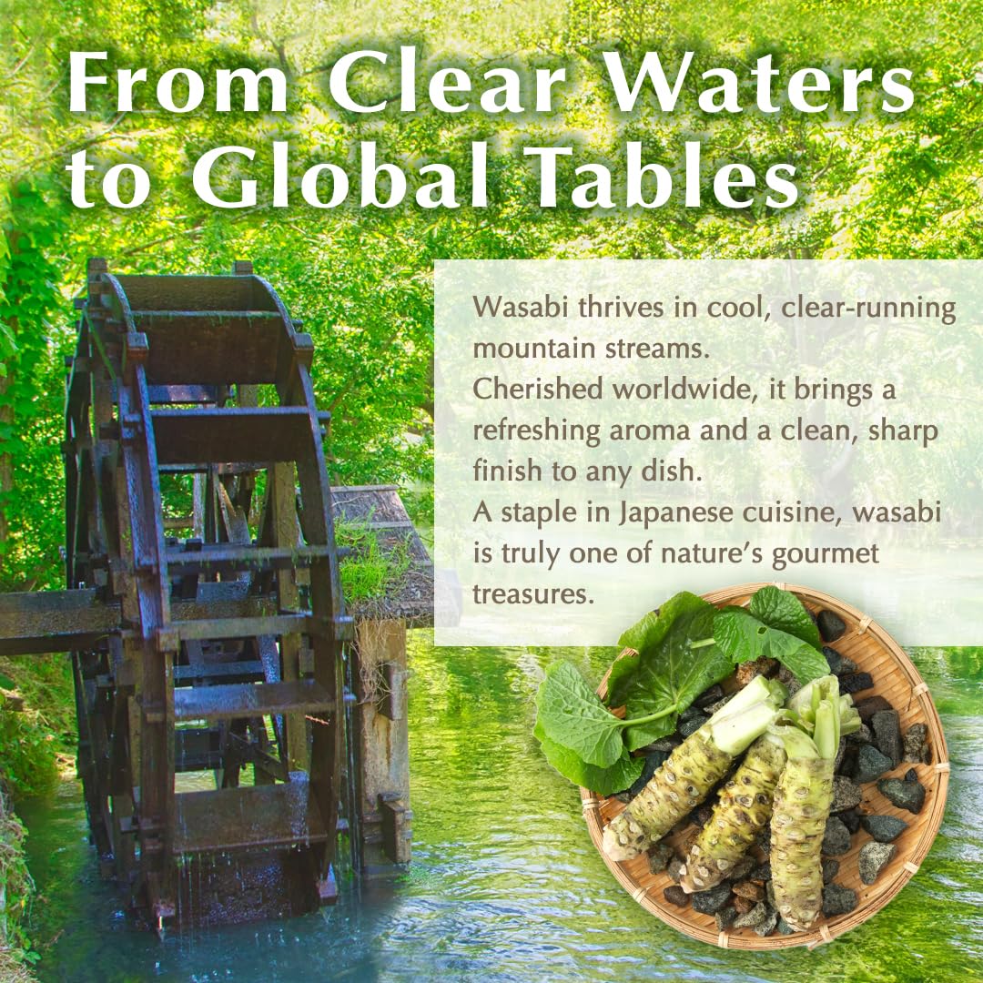 TIKUSAN Grattugia giapponese in legno per Wasabi (wasabi Oroshi) per zenzero e aglio con spazzola in bambù, prodotta in Giappone