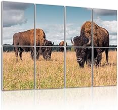 8 Pack Art Acoustic Panels Self Adhesive Pair big american bison buffalo walking by grassland pairie grazing Decorative Soundproof Wall Panels Sound Absorbing Panel 48"x32" for Office Home Studio