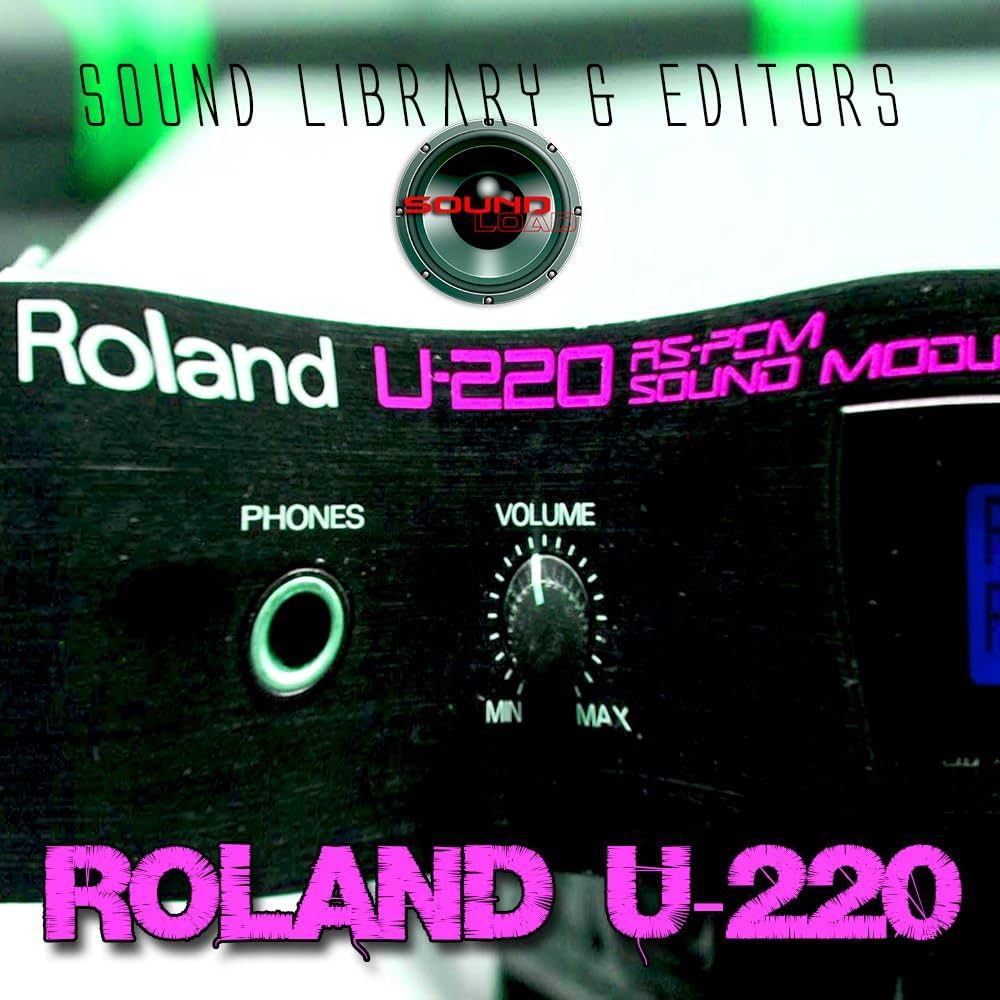 DTM・DAW ROLAND U-220 71wc2i8TWQL._UF1000,1000_QL80_.jpg