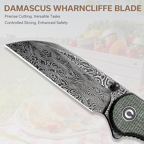 Miniatura 8 de CIVIVI Cuchillo de bolsillo - Elementum Cuchillo plegable con mango Nitro-V Wharncliffe Blade G10 de 2.97 pulgadas, ideal para regalo EDC al aire