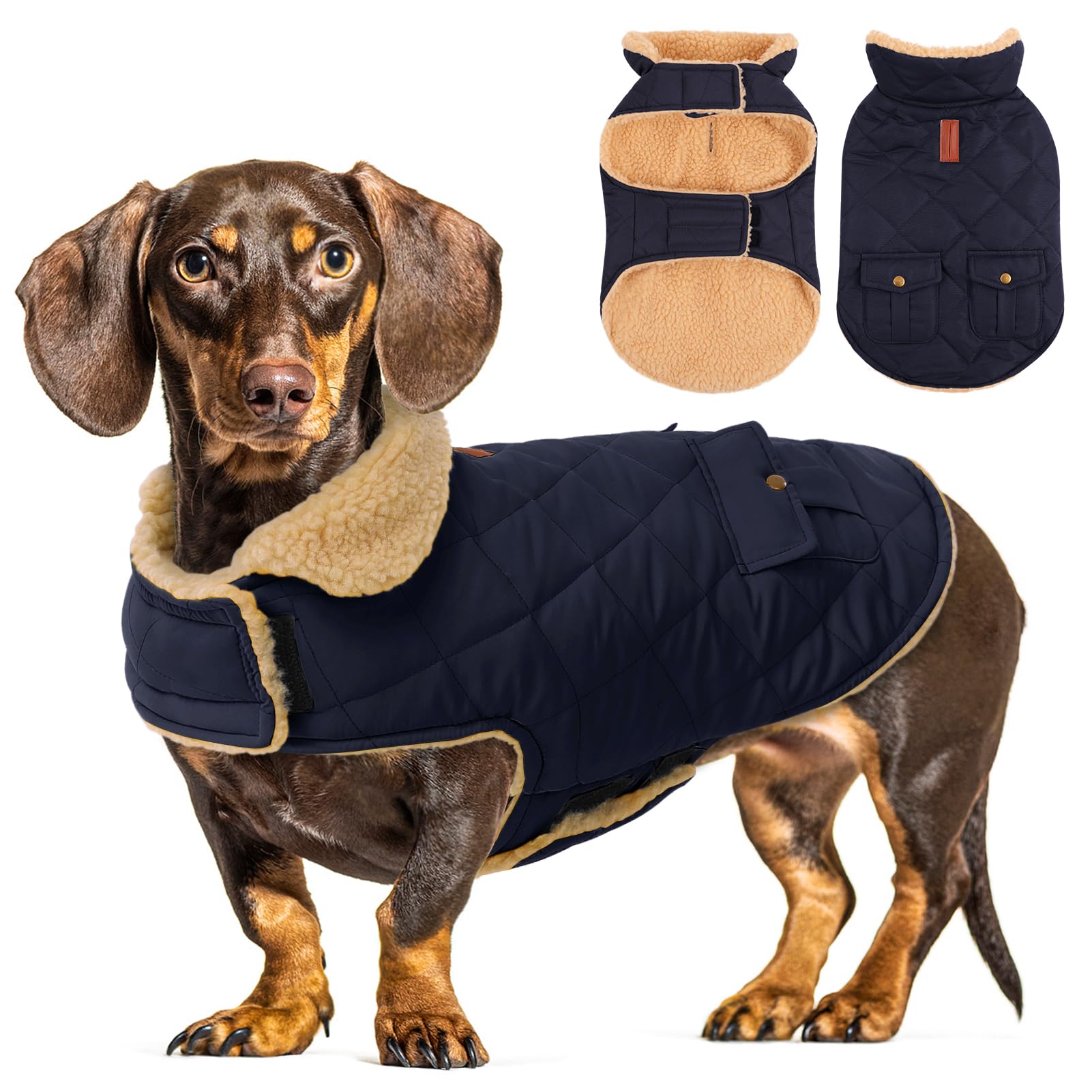 CITÉTOILE Dog Winter Coat Windproof Dog Jacket Blue XL