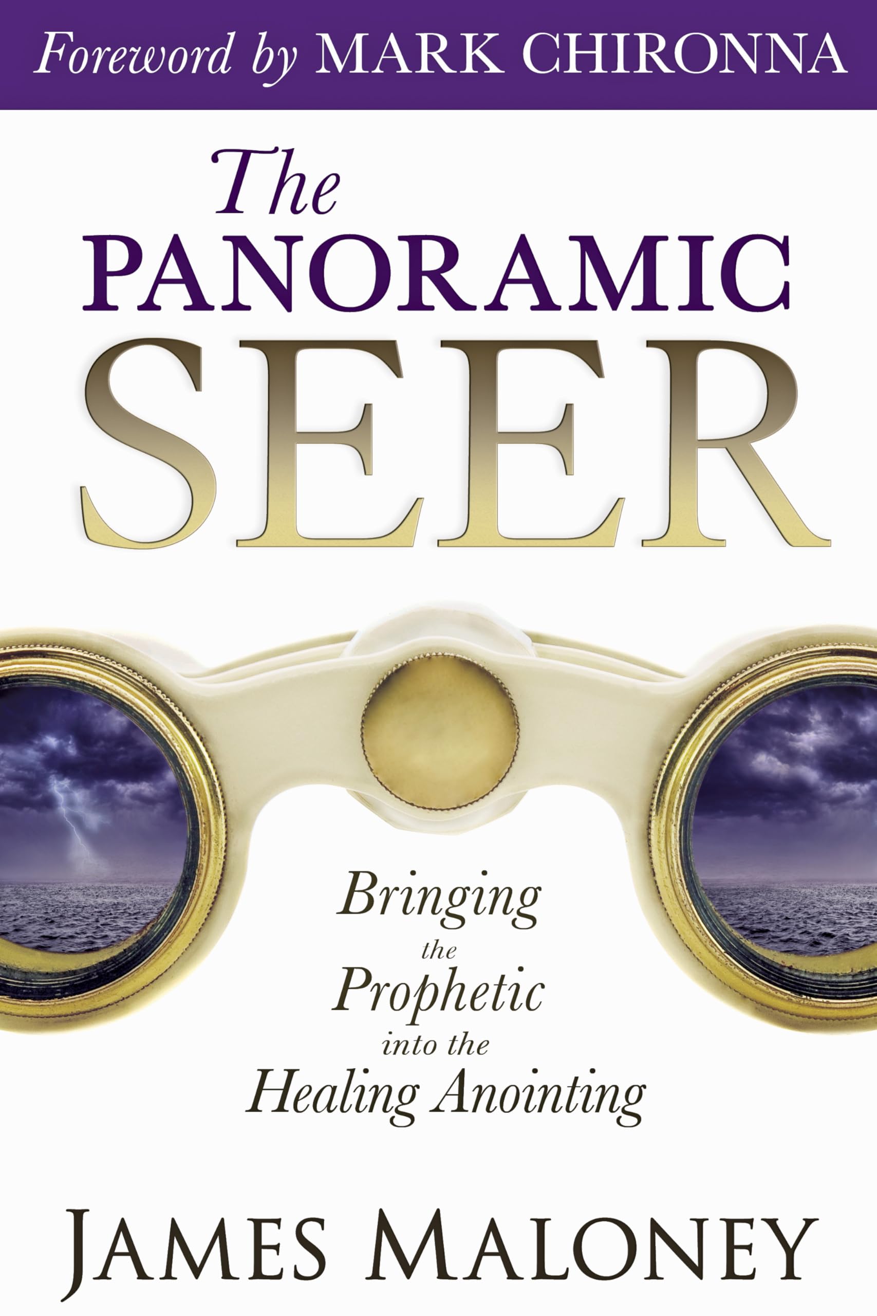 Destiny Image Book The Panoramic Seer: Bringing The Prophetic Into The Healing Anointing