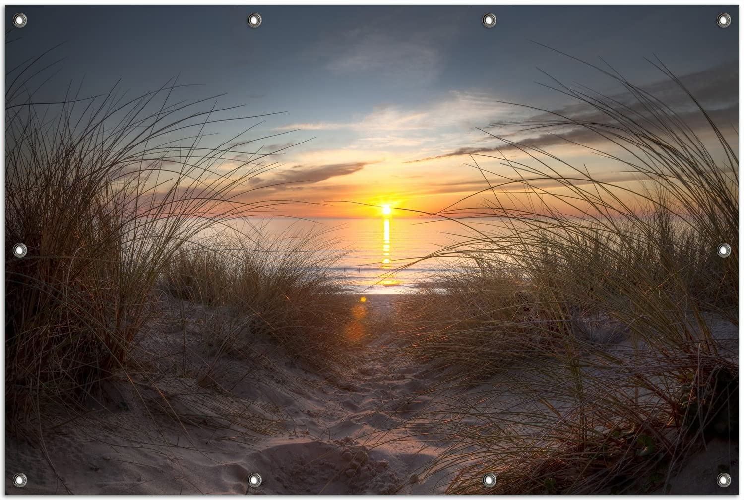 Outdoor-Poster Allee Bei Sonnenuntergang – 100x150 Cm, Witterungsbeständig, Mit Metallösen – Sichtschutz Für Garten, Balkon & Zaun