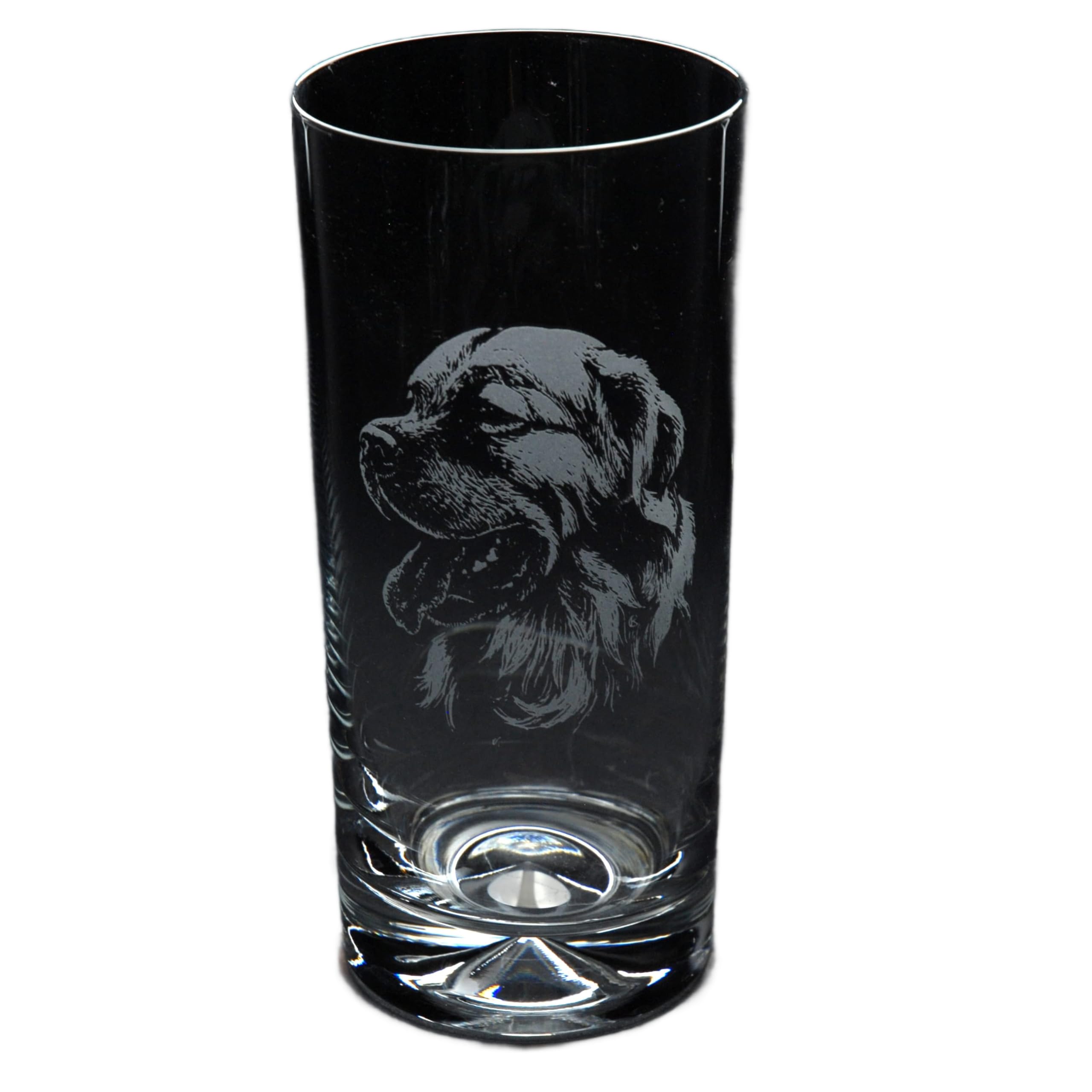 GLYPTIC Glass Art Golden Retriever Dog Head Placement Hand Etched/Engraved Highball Glass