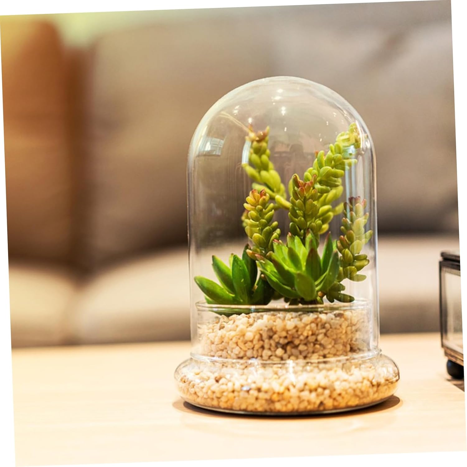 2Pcs Bottle for Miniature Landscape Decoration High Borosilicate Terrarium Holder for Home Office for Modern Decor