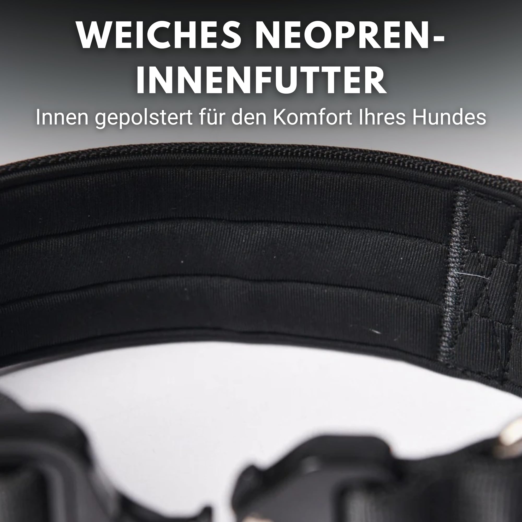 Spark Paws Taktisches Hundehalsband – Robuste, Premium-Qualität, Dick und Langlebig für Große und Mittelgroße Hunde - Schwarz - M: 23-39kg [5cm]