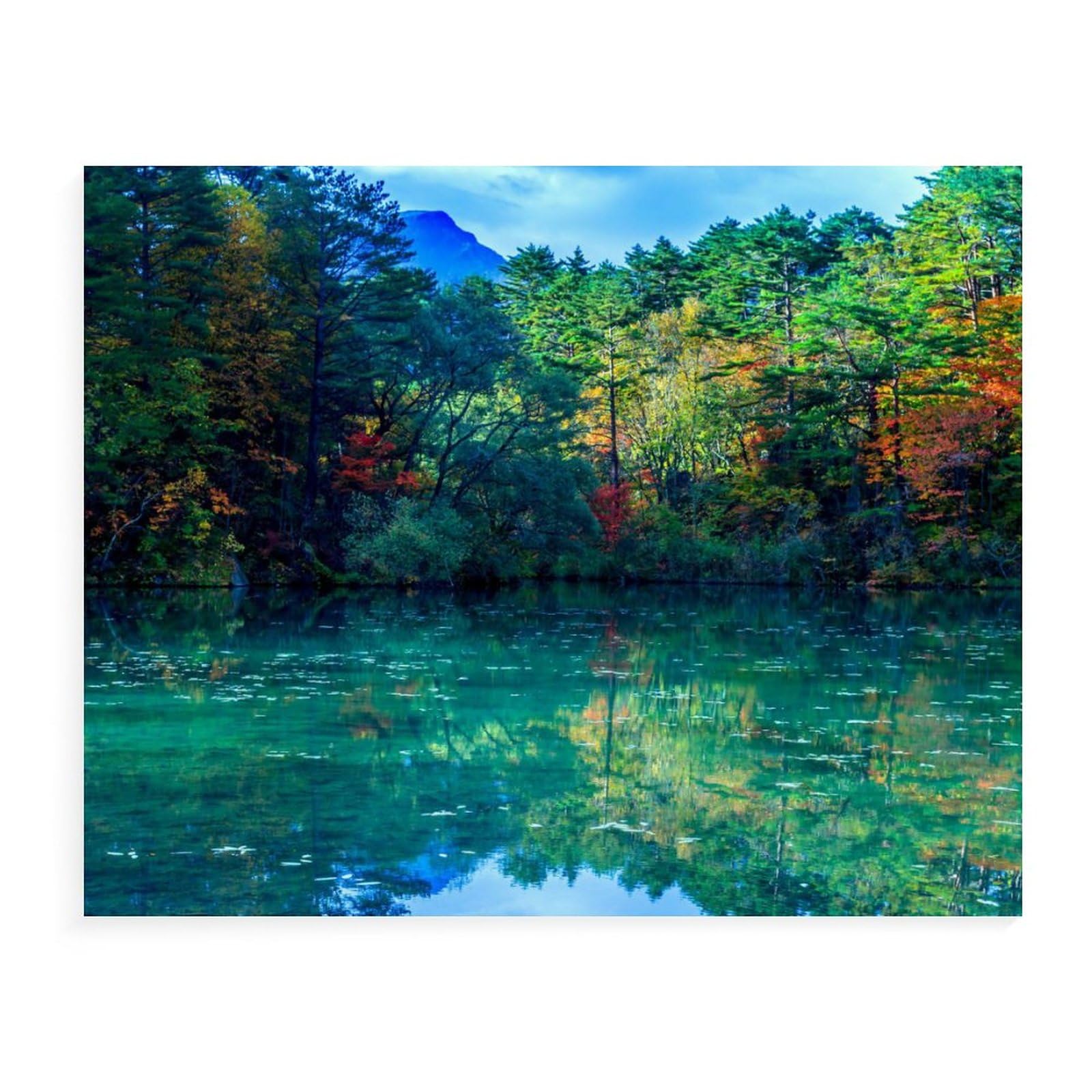 絵画　油絵　福島の秋 ca294cb9730b0db589529a48ac4347