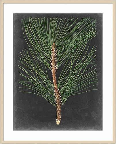 Miniatura 6 de Amanti Art Impresión artística enmarcada para pared, 44 x 36 pulgadas, dramático pino I de Vision Studio, arte de pared de naturaleza, decoración