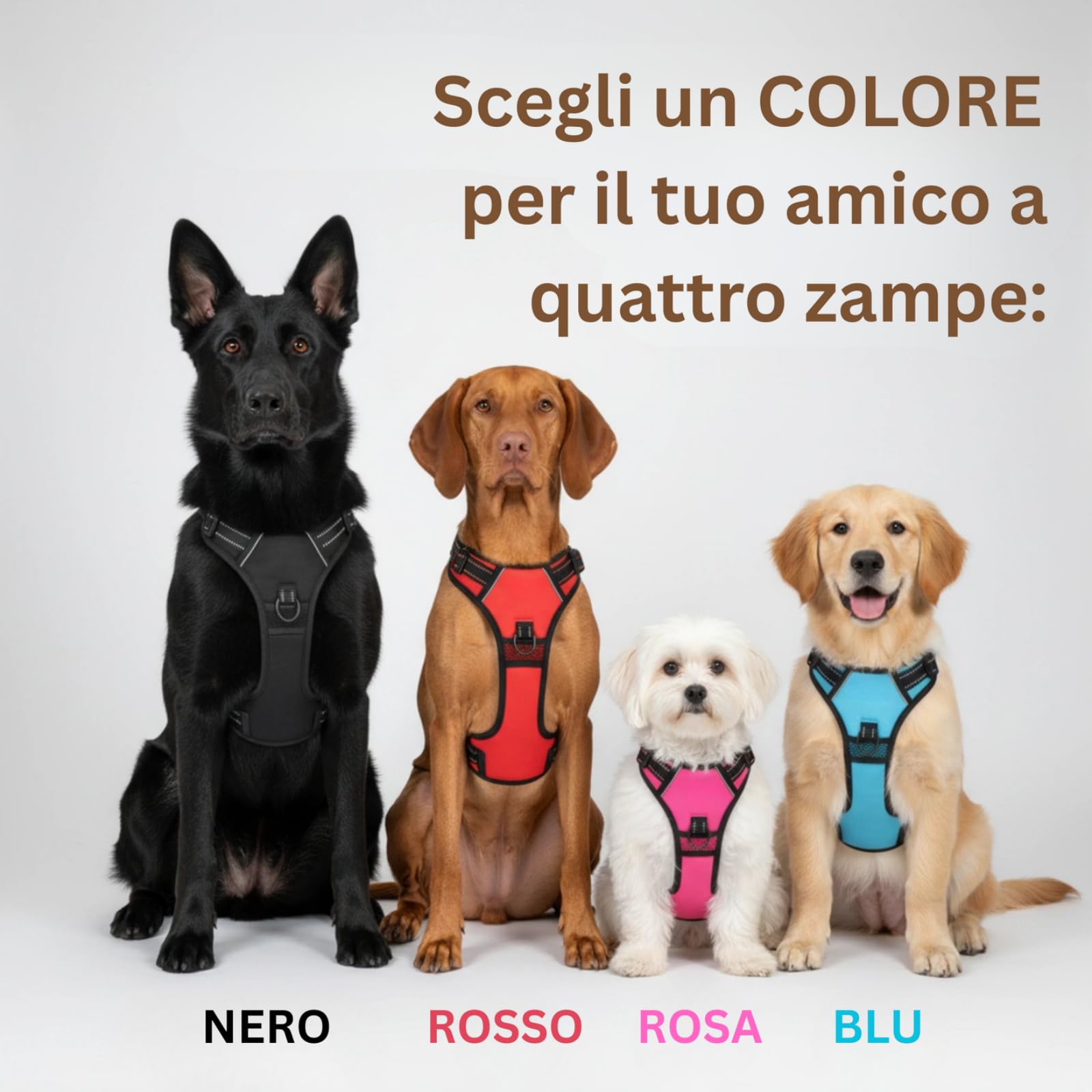 Cosyrae Pettorina Anti Tiro,Pettorina per Cane Anti-tiro,Morbida e Imbottita con Fibbia Regolabile e Anello Rinforzato,Riduce Strattoni per Passeggiate