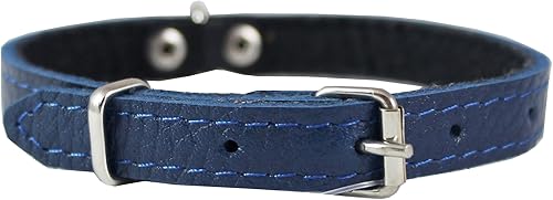 Azul Piel Auténtica fieltro Perro acolchado cuello 13" x12" Amplia Fits 9"-12" de cuello, Chihuahua, Yorkshire Terrier Cachorros