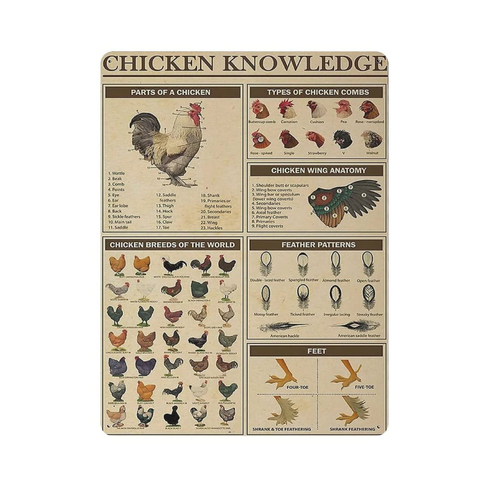 Metal Tin Sign Chicken Breeds of The World Infographics Vintage Tin Poster Metal Sign Wall Decoration Country Kitchen Home Garage Decor 16"x12"
