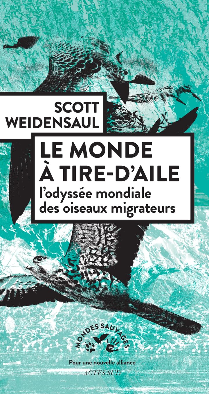 Le monde à tire-d’aile: L'odyssée mondiale des oiseaux migrateurs