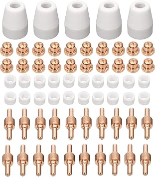 KINGQ 65Pcs Plasma Cutting Consumables Standard Fit Cut40 50 with Plasma Cutter Torch PT31 LG40 CUT-40 CUT-50 CT-312