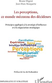Les perceptions, ce monde méconnu des décideurs: Principes appliqués à la stratégie d
