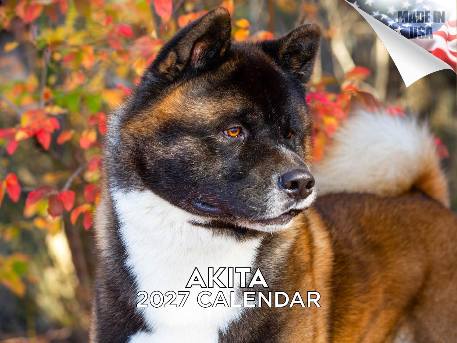 2025 2026 Akita Calendar - Dog Breed Monthly Wall Calendar - 12" x 18" Open - Thick No-Bleed Paper - Giftable - Academic Teacher's Planner Calendar Organizing & Planning - Made in USA — image 1