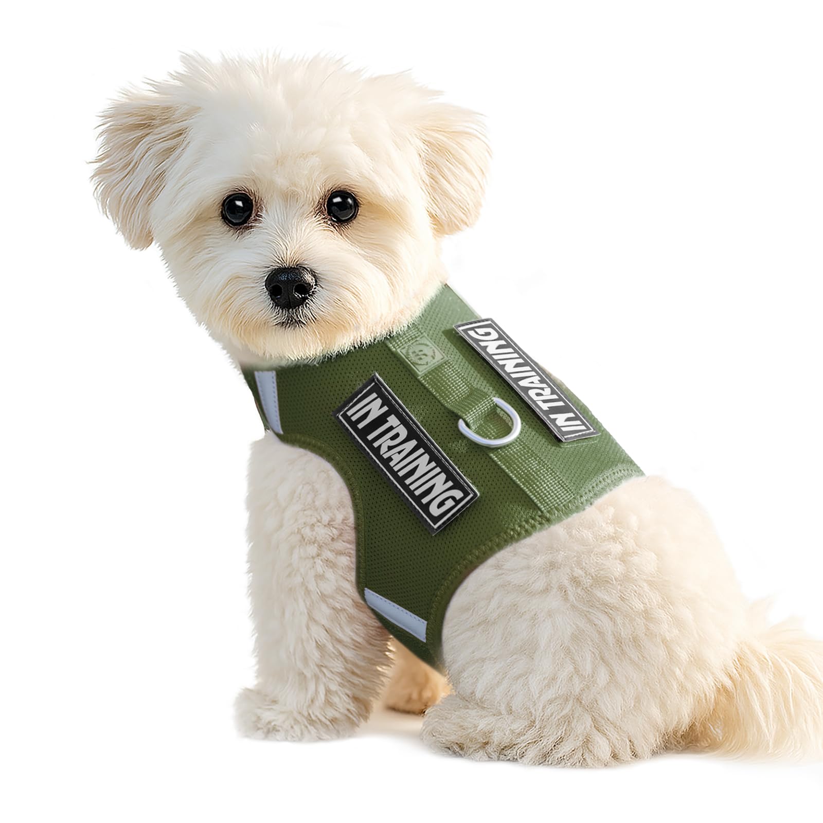 Sunraymascota Dog Harness for Puppy, Adjustable Size, Comfort Soft Vest for Small Dogs, Reflective Design with 2 Patches，Lightweight Breathable Dog Walking and Training (Misty Green,XXXS) — image 1