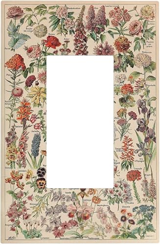 Vista 933 de Cubiertas decorativas de salida de estrella de mar playera, tablero de madera azul de concha de mar de 1 banda, decoración individual GFCI, placa