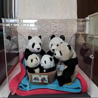 4 6 8 10 12 14 16 Inch Height Acrylic Display Case Stuffed Animal Clear Acrylic Box Storage Bin, Plastic Show Box Alternative Glass Case with Door(10x10x10cm(4x4x4in))